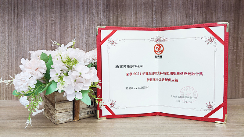智光杯獲獎證書.jpg